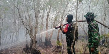 Babinsa Koramil Indralaya Bersama Yon TP 949/DR Berjibaku Padamkan Karhutla di Tanjung Seteko
