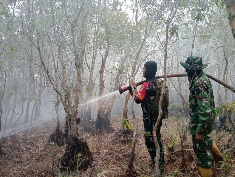 Babinsa Koramil Indralaya Bersama Yon TP 949/DR Berjibaku Padamkan Karhutla di Tanjung Seteko