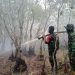Babinsa Koramil Indralaya Bersama Yon TP 949/DR Berjibaku Padamkan Karhutla di Tanjung Seteko