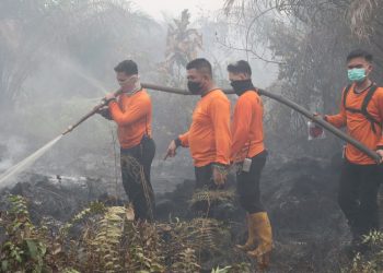 Polres Landak Bersama Tim Gabungan Padamkan Karhutla di Sebangki, Api Jinak Pukul 23.00 WIB