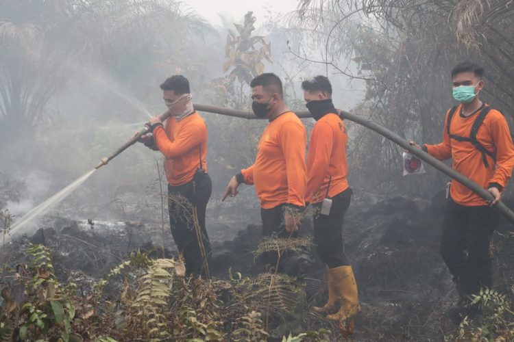 Polres Landak Bersama Tim Gabungan Padamkan Karhutla di Sebangki, Api Jinak Pukul 23.00 WIB
