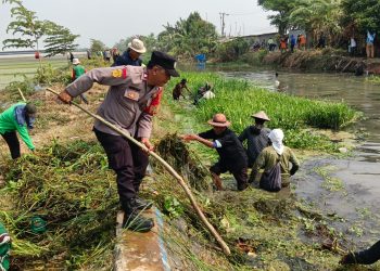 Polsek Pebayuran Dampingi Kerja Bakti Pembersihan Saluran Irigasi, Upaya Atasi Dampak Kekeringan Persawahan