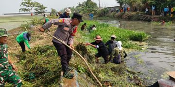 Polsek Pebayuran Dampingi Kerja Bakti Pembersihan Saluran Irigasi, Upaya Atasi Dampak Kekeringan Persawahan
