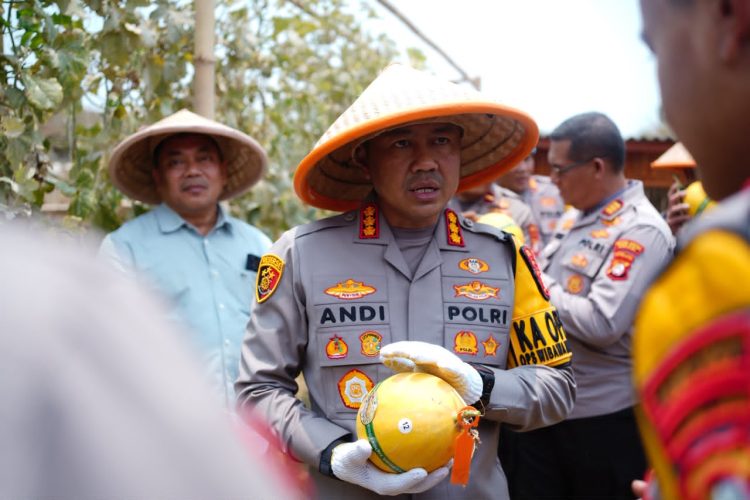 Kapolres Metro Bekasi Panen Melon Hidroponik, Wujudkan Inovasi Ketahanan Pangan melalui Pertanian Modern
