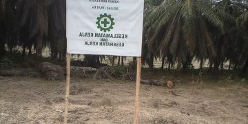 Bongkar Proyek Parit Maut dan Dugaan Alih Fungsi Lahan di PTPN IV Kertajaya Picung Tanpa Papan Proyek