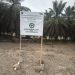 Bongkar Proyek Parit Maut dan Dugaan Alih Fungsi Lahan di PTPN IV Kertajaya Picung Tanpa Papan Proyek